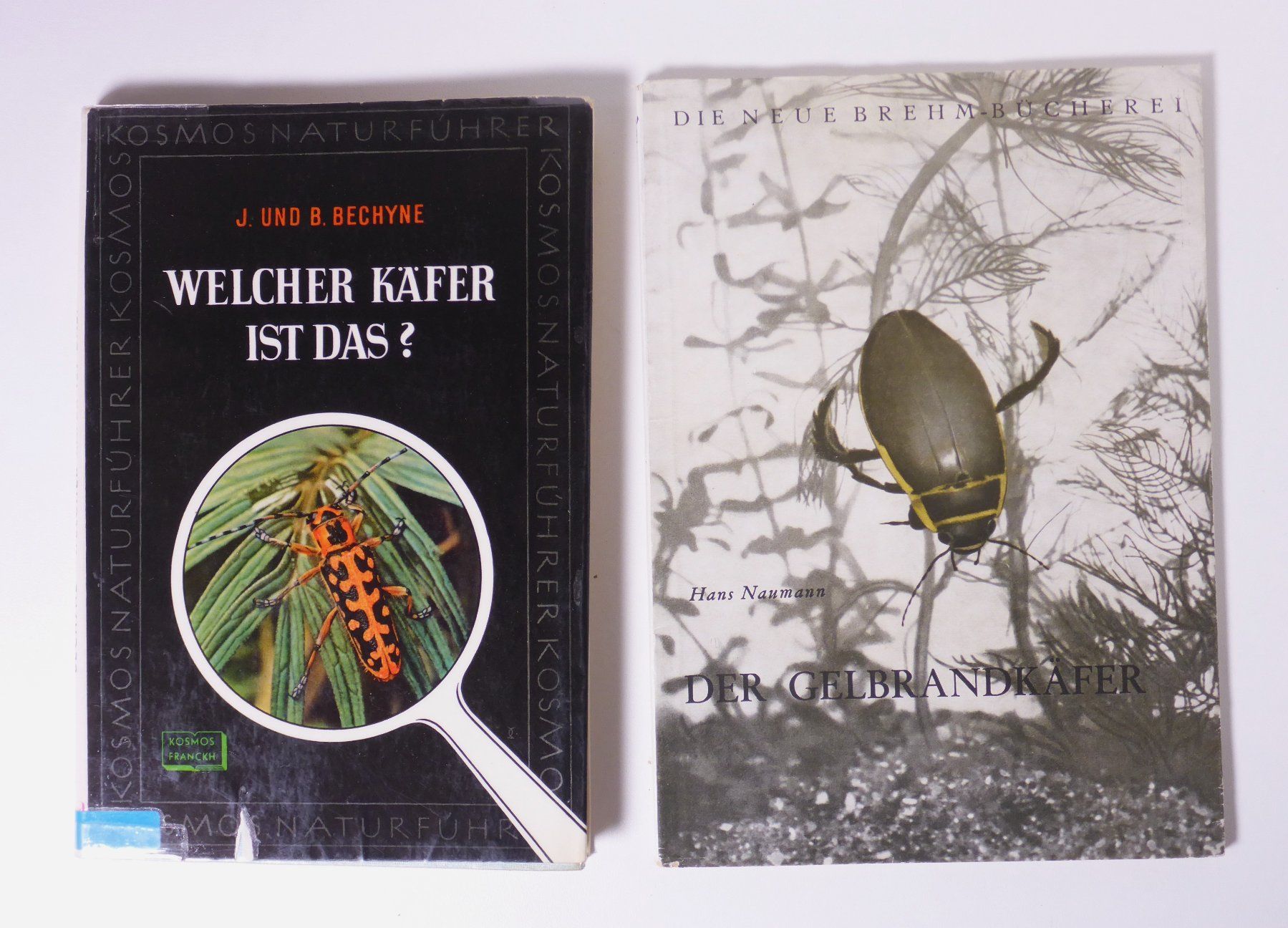 Libri: Käfer 5 Titel siehe Fotos – Usato da Erschwil venduto da taglang