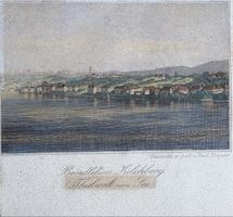 Stich von Thalweil vom See