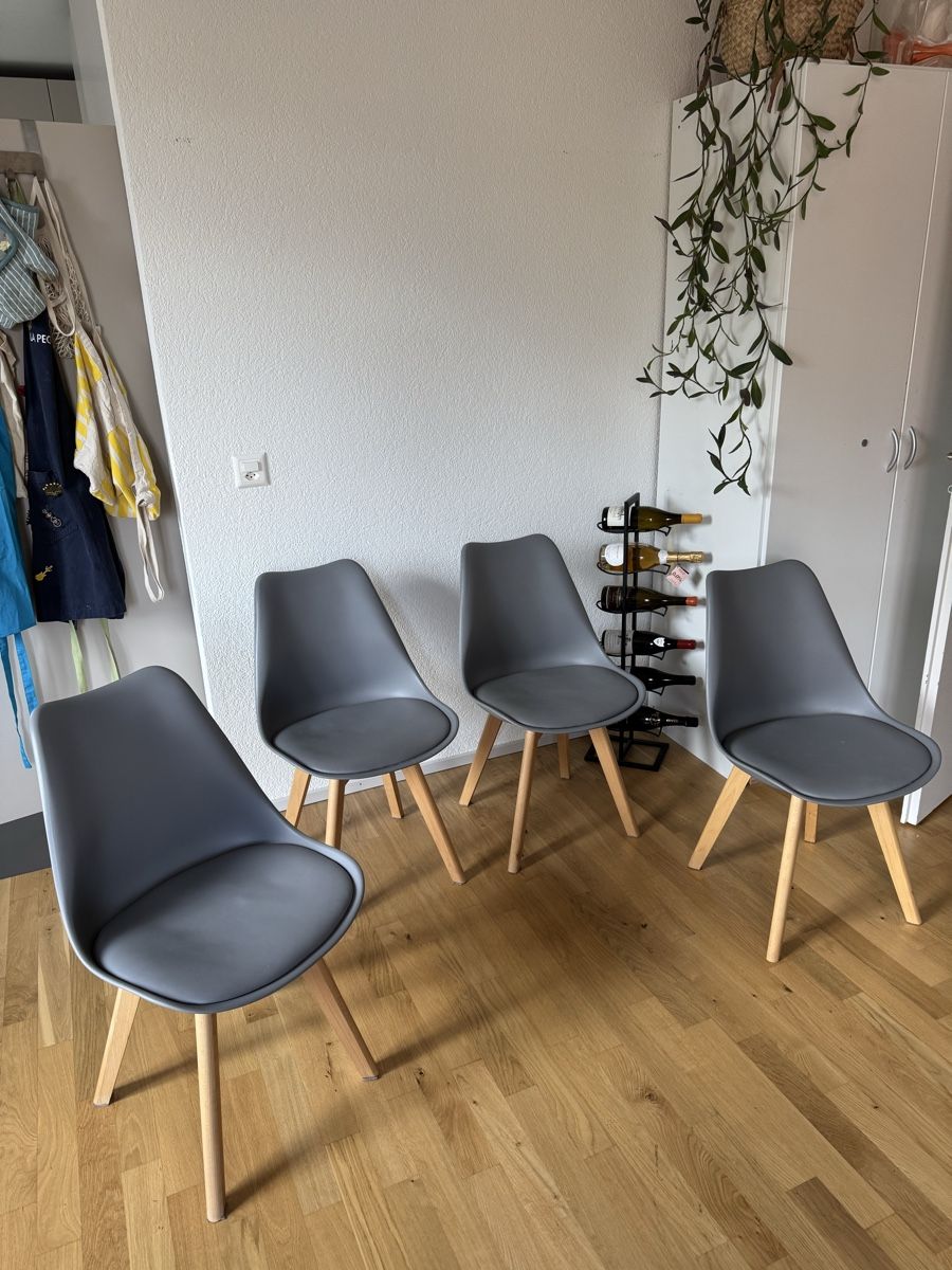 Sedie: Four nice chairs – Usato da Zürich venduto da kar_ns55 1