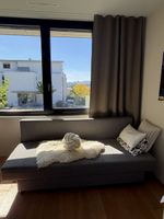Schlafsofa grau aus Stoff funktional guter Zustand