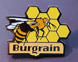 S679 - Pin Biene Waben Burgrain