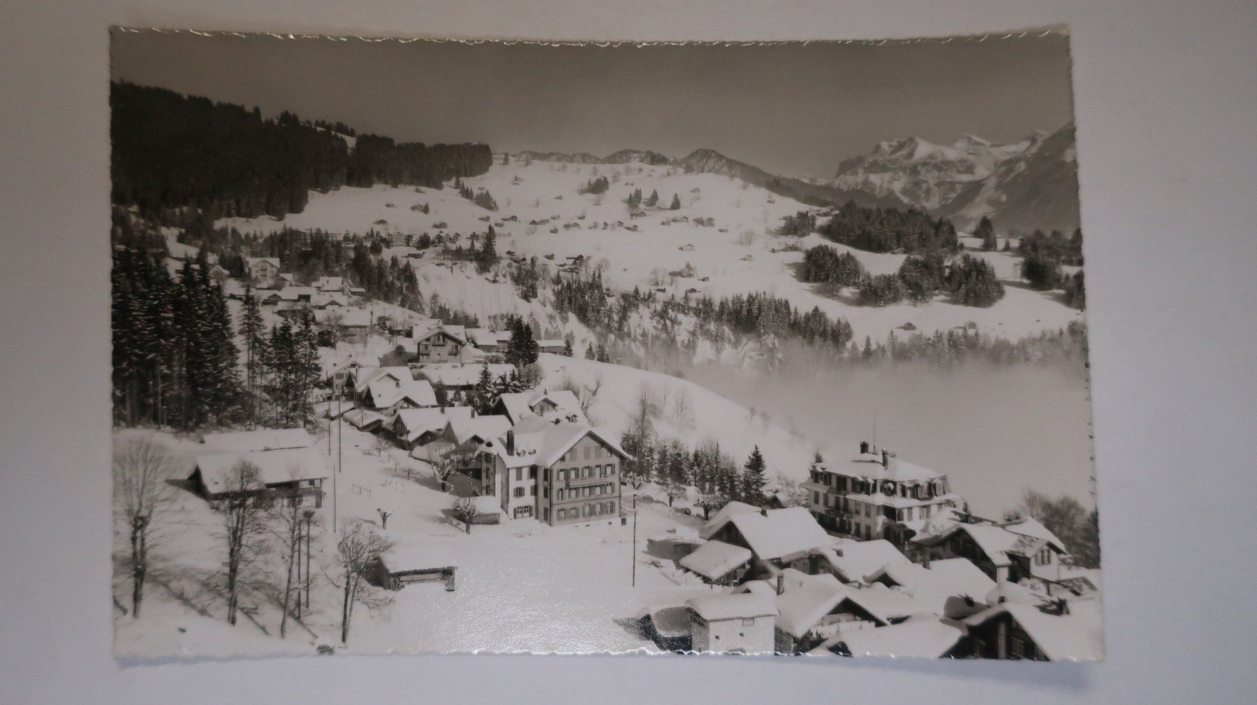Cartes postales: Beatenberg Spirenwald Waldegg – D'occasion à Cormoret par Pascalll2001 1