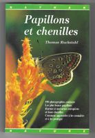 PAPILLONS ET CHENILLES