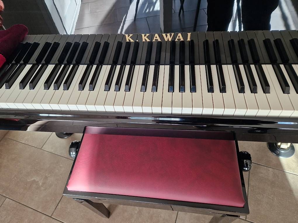 Strumenti musicali: Piano – Usato da Laconnex venduto da Duraffourd 2