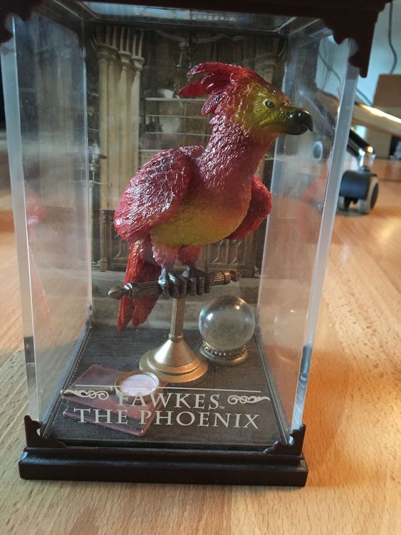 harry potter phönix bilder