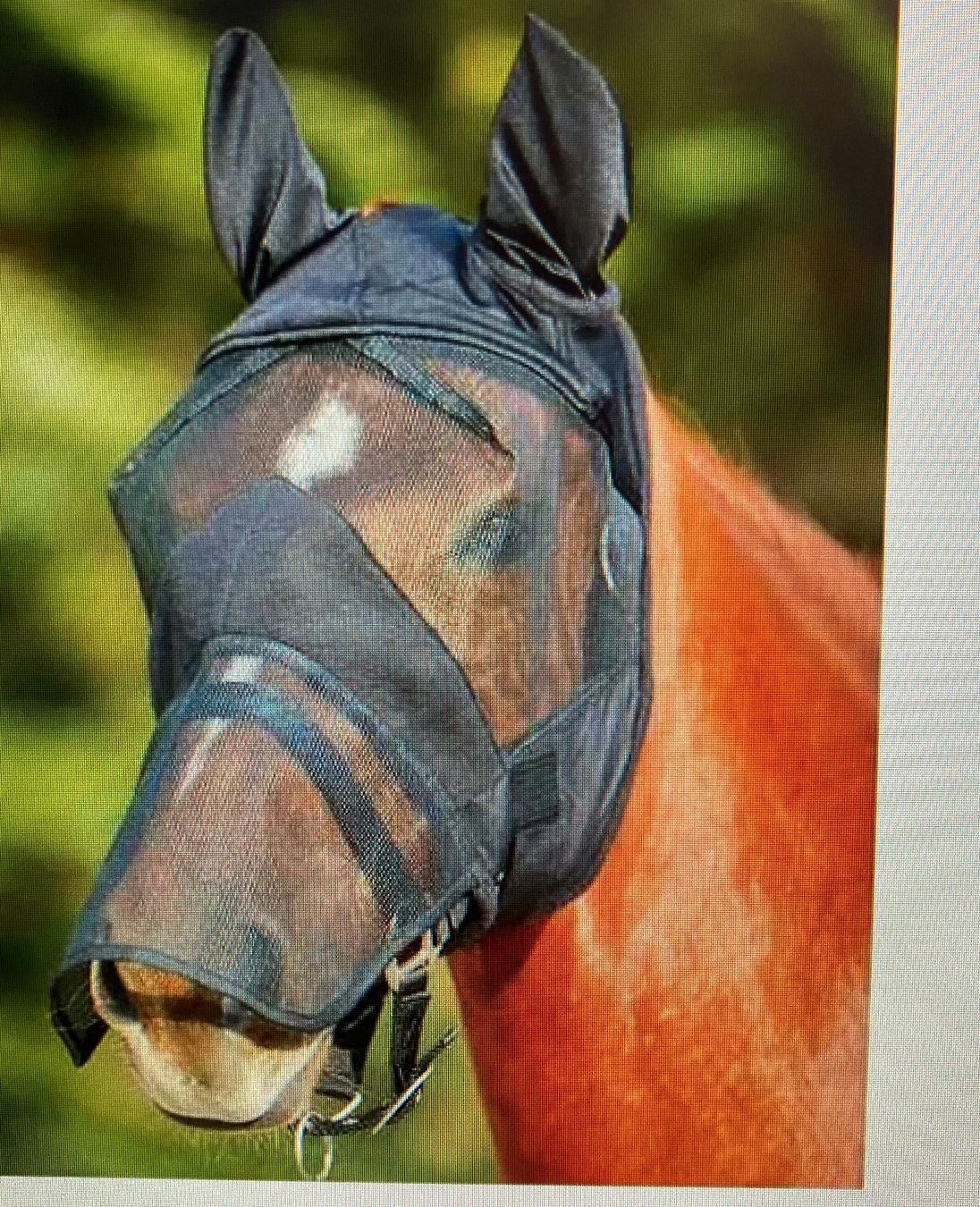 Altro in Accessori per animali: Fliegenmaske Pferd grösse L warmblut – Nuovo (secondo la descrizione) da kottwil venduto da opononi