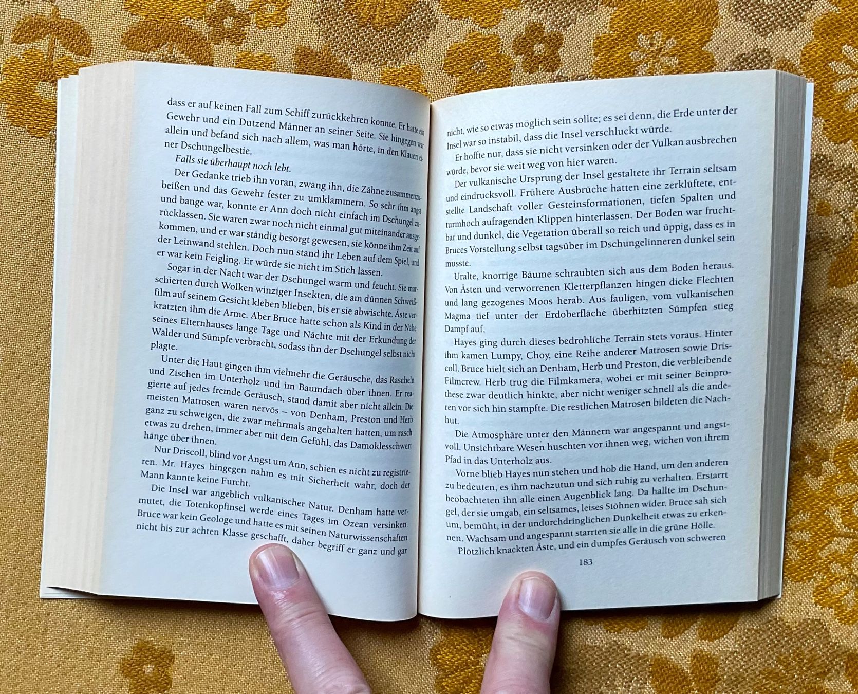 Libri: Buch King Kong von 2005 – Usato da Endingen venduto da nathan05 6