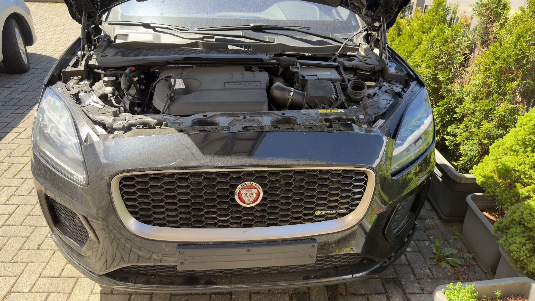Jaguar Autos: JAGUAR E-Pace I3 PHEVE P300e R-Dynamic – D'occasion à Matten b. Interl par rob_d5pb 6