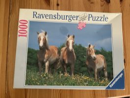Ravensburger Puzzle Wehende Mähnen 1000 Teile 70x50 cm