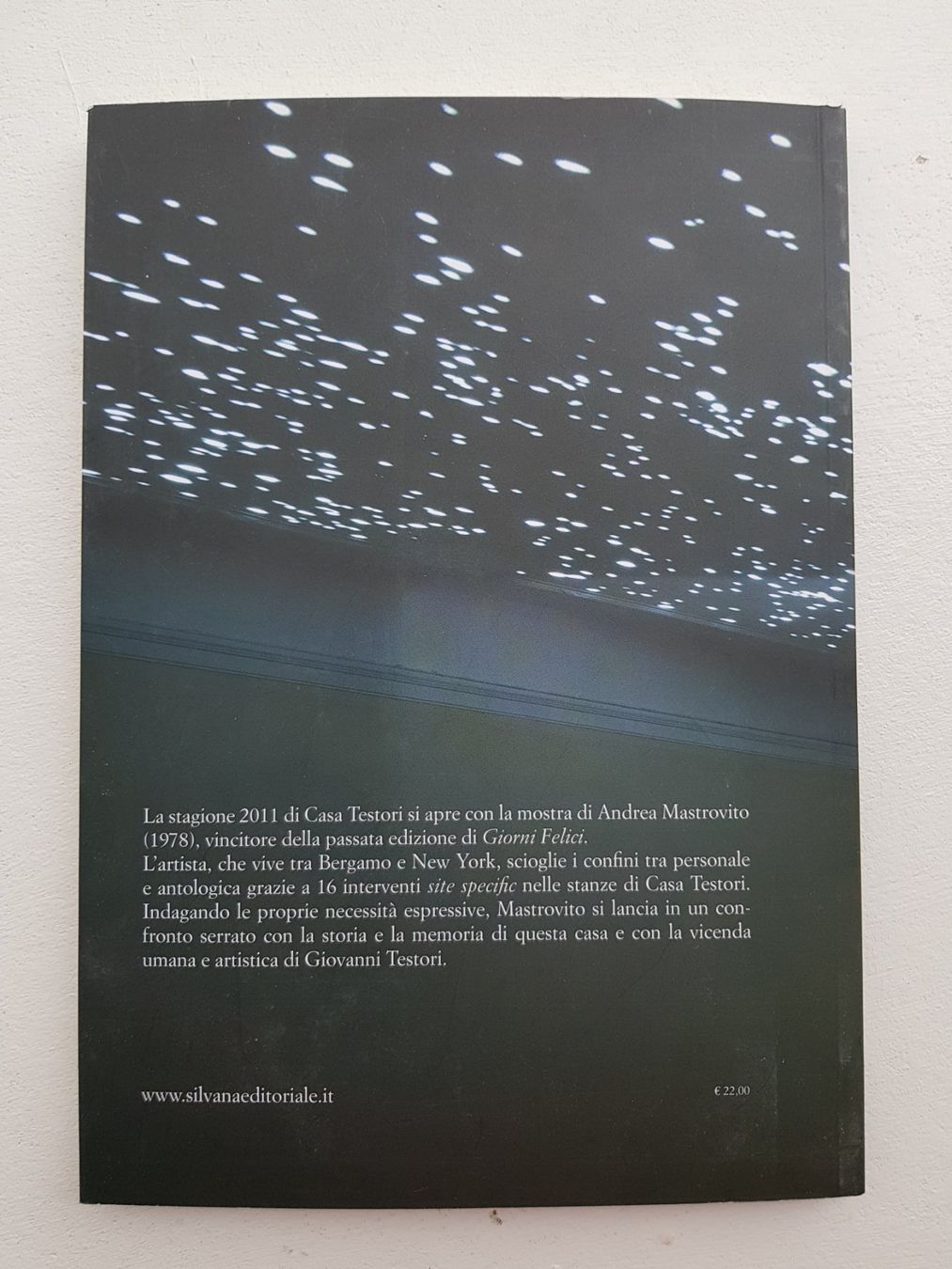 Bücher: Andrea Mastrovito Casa Testori Catalog – Neu (gemäss Beschreibung) aus Lausanne von LasloH 6