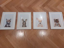 4x Cute Animal Pictures, incl. white frames