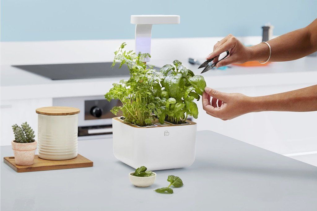 Vasi per fiori: Véritable Botaneo Indoor-Garten, NEU – Nuovo e nell'imballaggio originale da Eschenbach LU venduto da Elysa1995 1