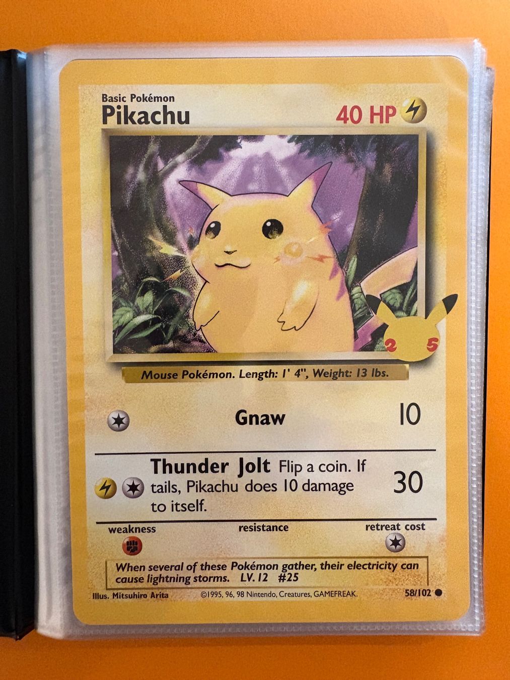 Pokémon Carte collezionabili: Binder mit XXL / Oversized Karten - Promo – Usato da Bonstetten venduto da vonap 1