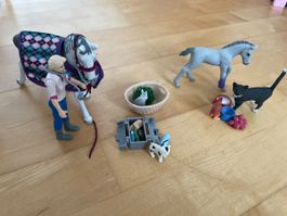 Schleich Pferde Set Tierarzt mit Zubehoer gebraucht