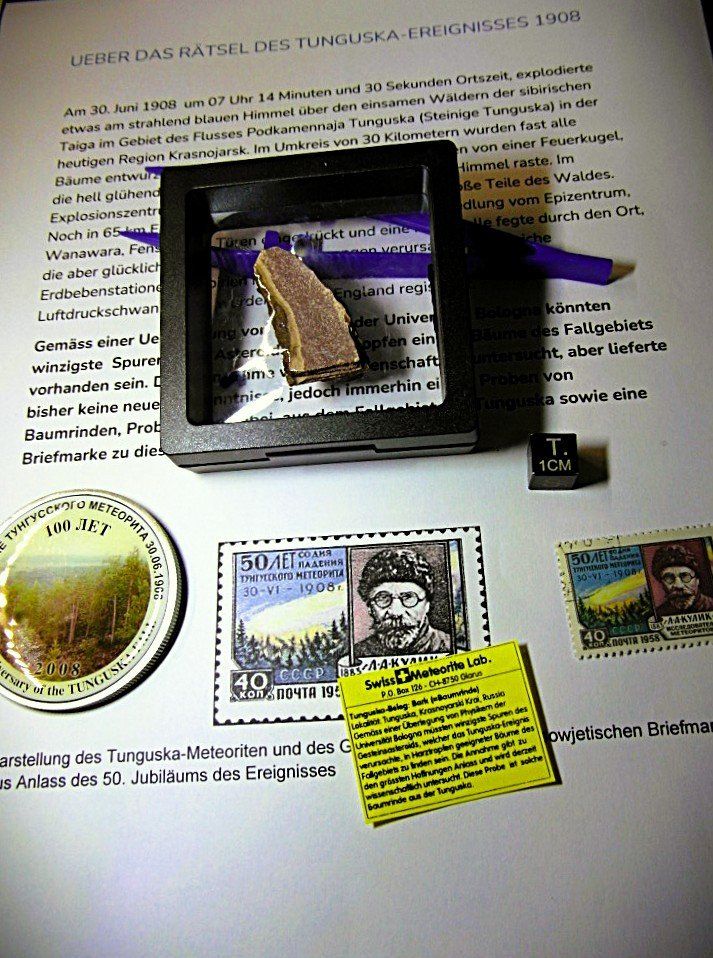 Medaglie: Tunguska Borke / Baumrinde  +  Briefmarke UDSSR + Medaille – Nuovo (secondo la descrizione) da Lengnau BE venduto da Lanthemann 1