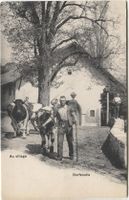 Landwirtschaft/Dorfstudie/Au Village 1900 mit Kuh VD?