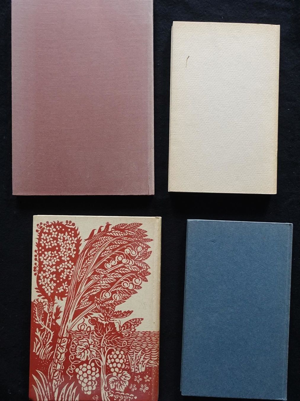 Libri: 4 x Albert Ehrismann, 1 x Piatti – Usato da Gutenswil venduto da Optico 5