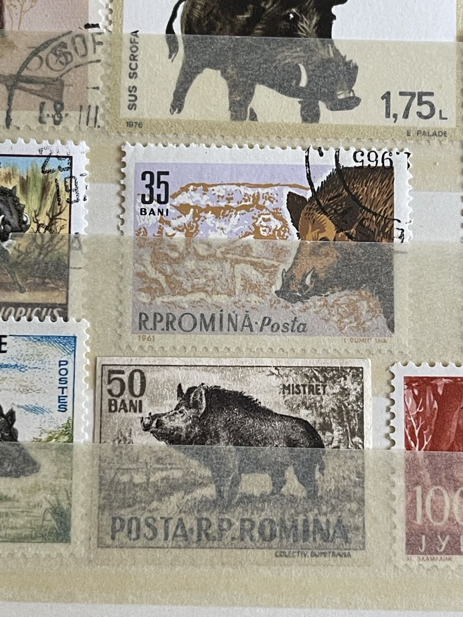 Tous les timbres: Briefmarken mit Wildschweinen – Neuf (Voir description) à Bern par TamSham 4