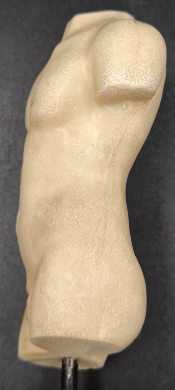 Skulpturen & Statuen: Männertorso – Gebraucht aus Rorschacherberg von snOOpydOg11 3