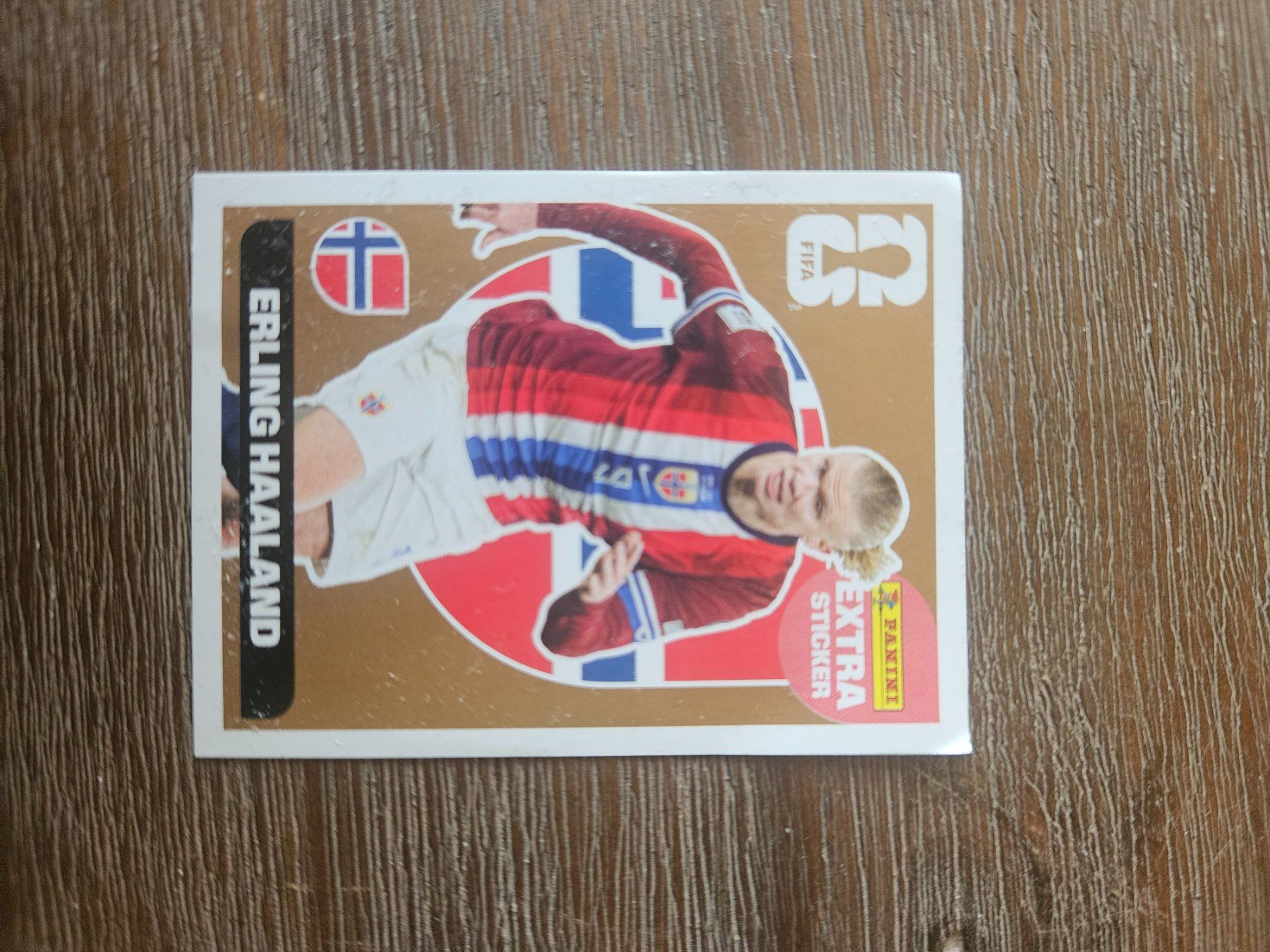 Panini Carte collezionabili: Panini extra Sticker Erling Haaland Bronze – Usato da Zizers venduto da fab_mz8m