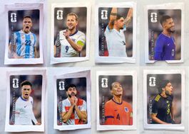 Panini Sticker Set (Coca Cola)