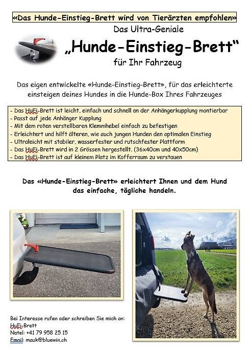 Gabbie, trasporto & Sicurezza: Zu verkaufen Hunde Rampe – Usato da Kestenholz venduto da fiatsubi 4