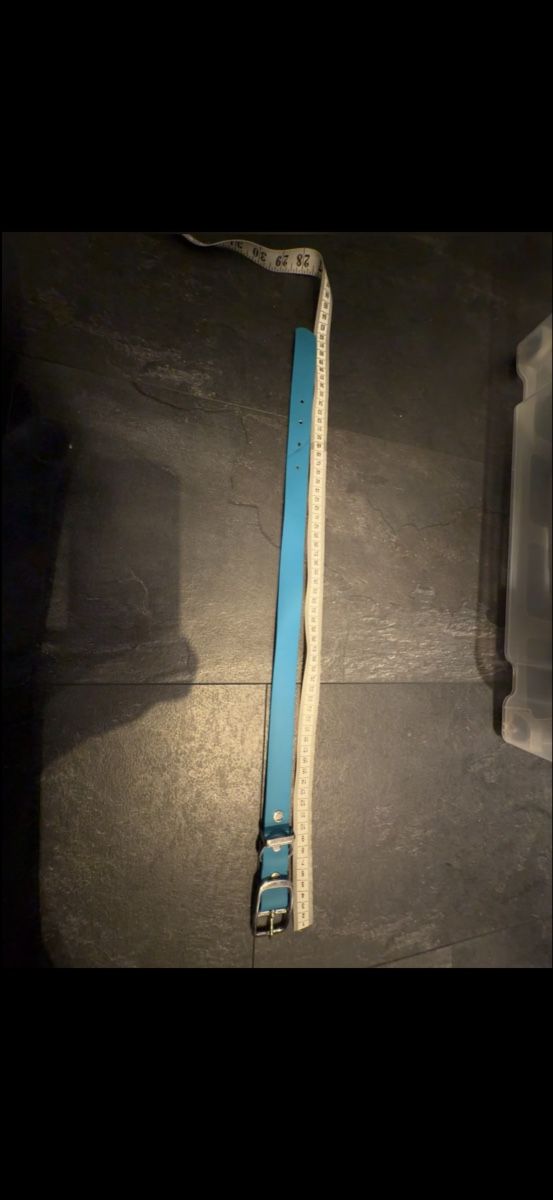 Guinzagli & Collari: Hundehalsband Blau – Usato da Niederglatt ZH venduto da vul_v86c 3