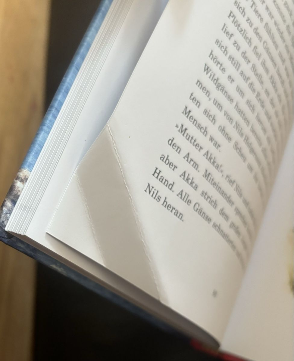 Livres: Nils Holgerssons Reise - Kinderbuch – D'occasion à Zermatt par Tinasvoyage 2