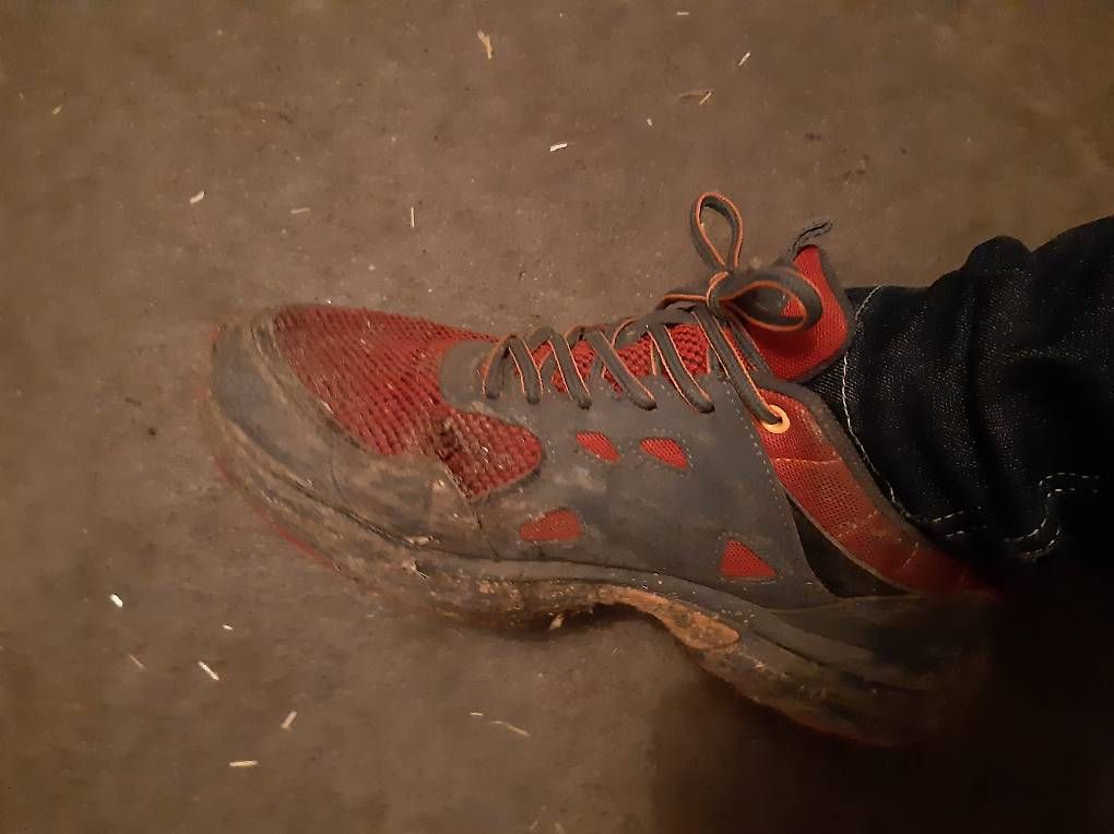 Chaussures femmes: Stallschuhe 40 – D'occasion à Nebikon par Haidihooo 1
