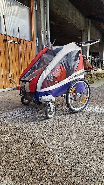 Rimorchi: Kinder velo wagen – Usato da Münsingen venduto da liz_kg5w
