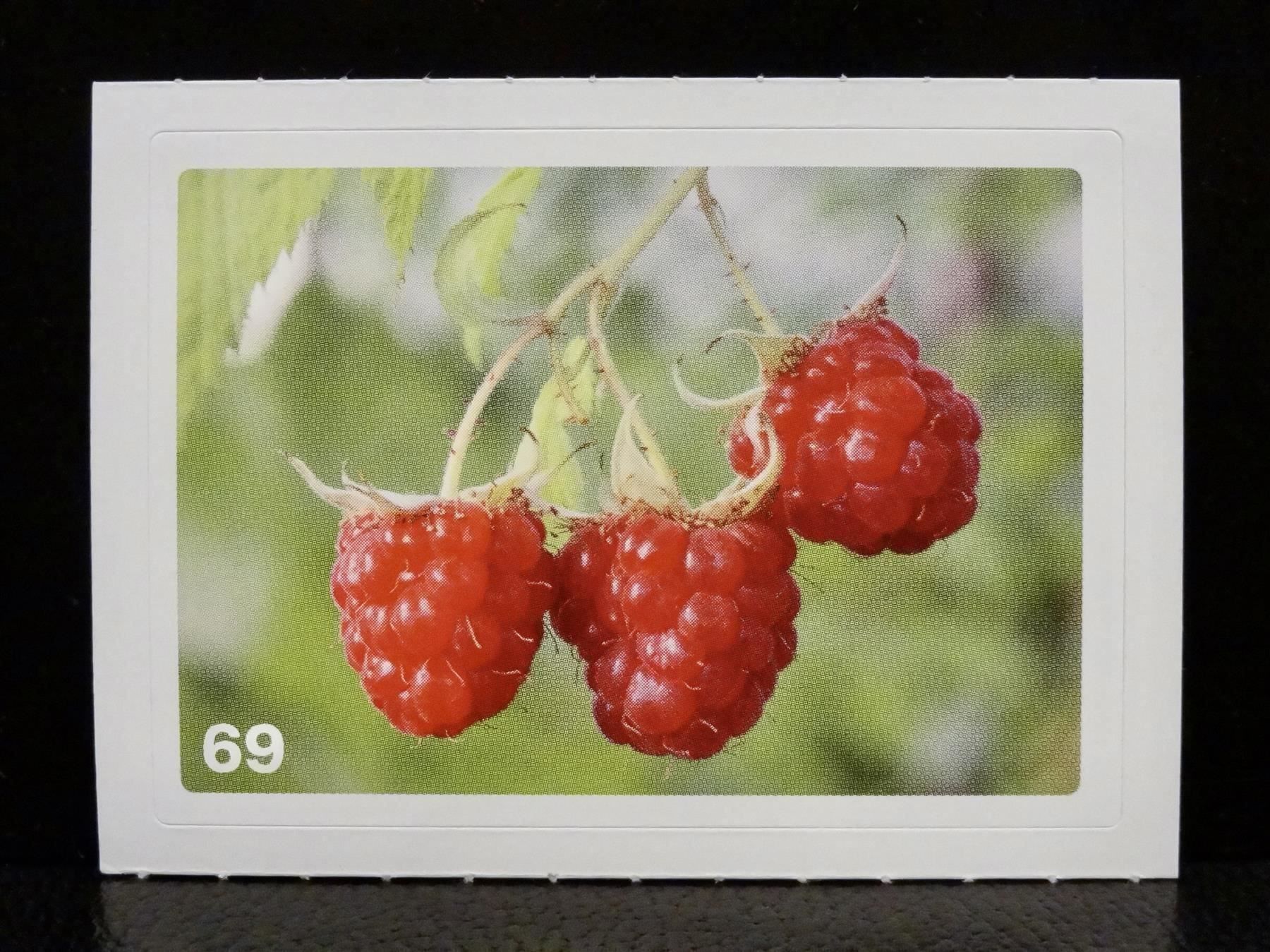 Migros Cartes à collectionner: MIGROS MANIA Nature Detectives Nr. 69 – Neuf avec emballage d'origine à Kerzers par zimmergruen