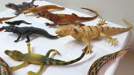 10 Diverse Reptilien  Figuren