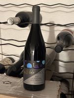 Ab 1.-: Donatsch Unique Pinot Noir 2017