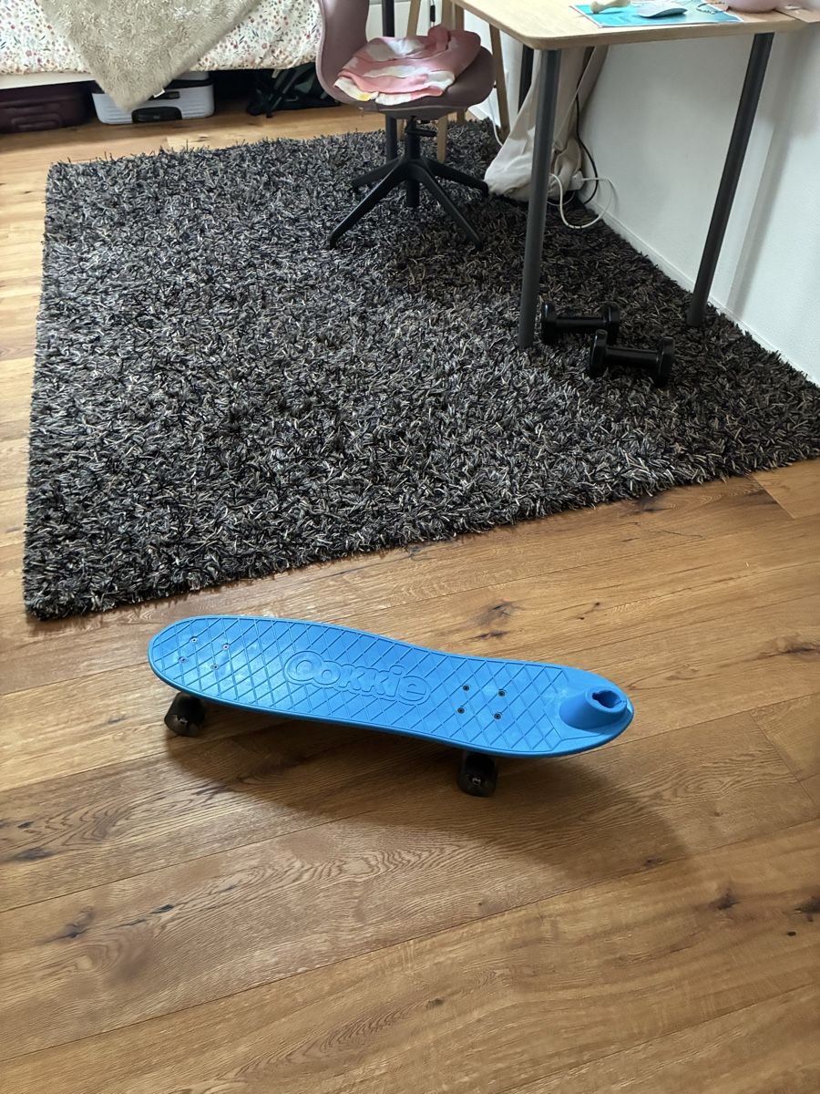 Skateboards: Ookie skateboard trainer – Nuovo (secondo la descrizione) da Abtwil AG venduto da dan_npw9 2