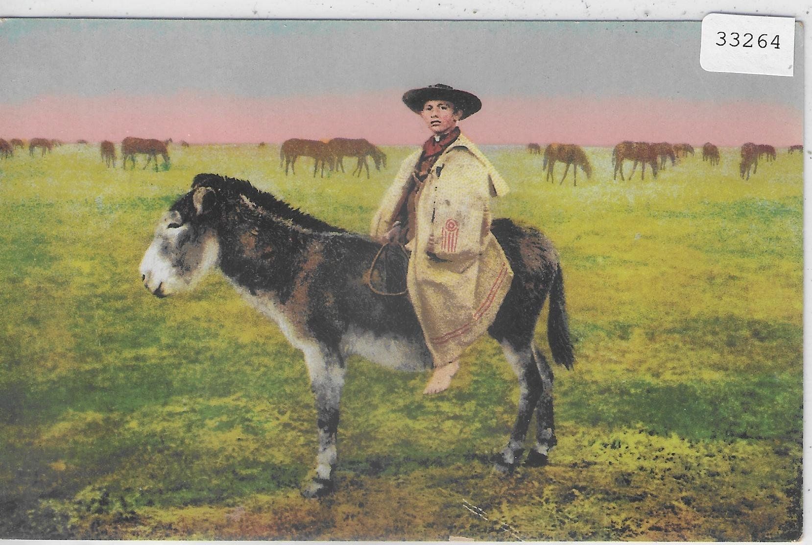 Cartes postales: Hirtenjunge auf Esel - Ungarn - Litho – D'occasion à Ettingen par Kartenplanet