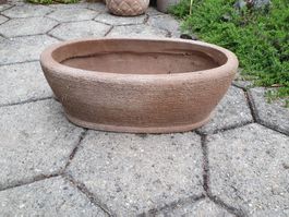 Pflanzschale - Blumentopf