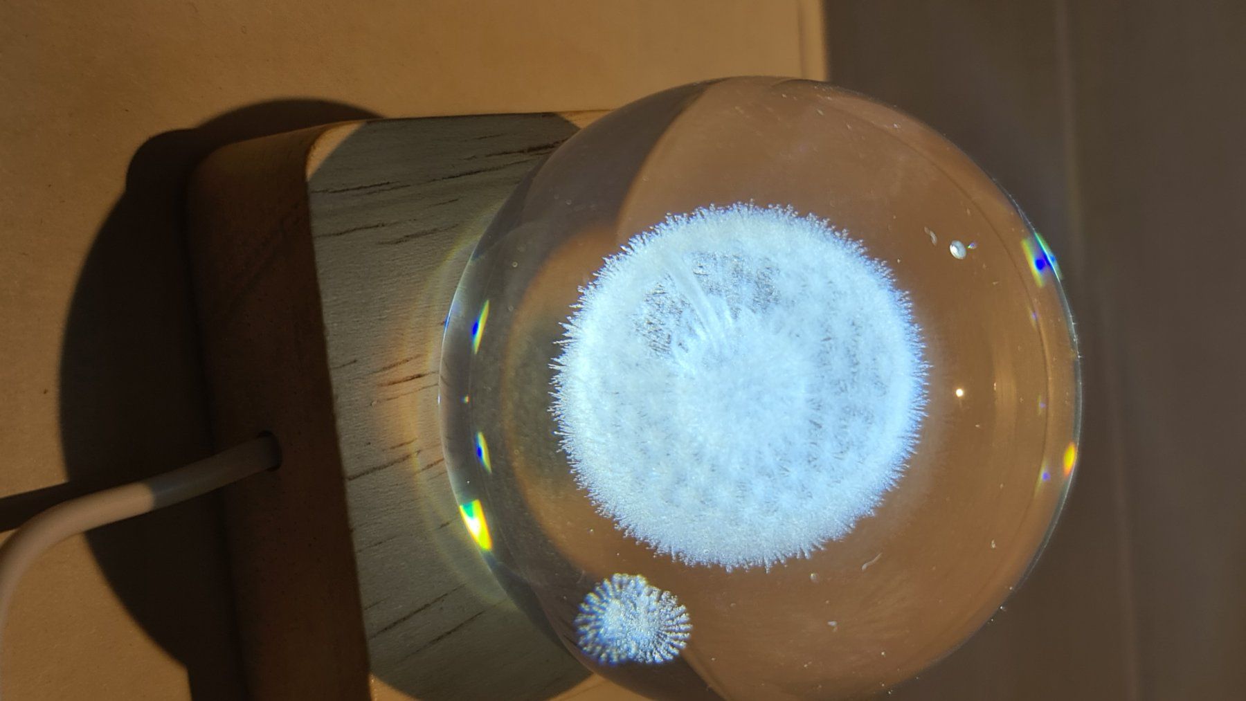 Tutte le decorazioni: 3D Löwenzahn Gravierte Globus 60mm – Nuovo (secondo la descrizione) da Uerkheim venduto da Kaufoption 5