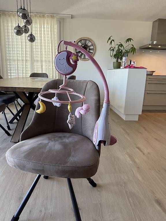 Altro in Decorazioni & Accessori: Mobile – Usato da Wallisellen venduto da Luca6993
