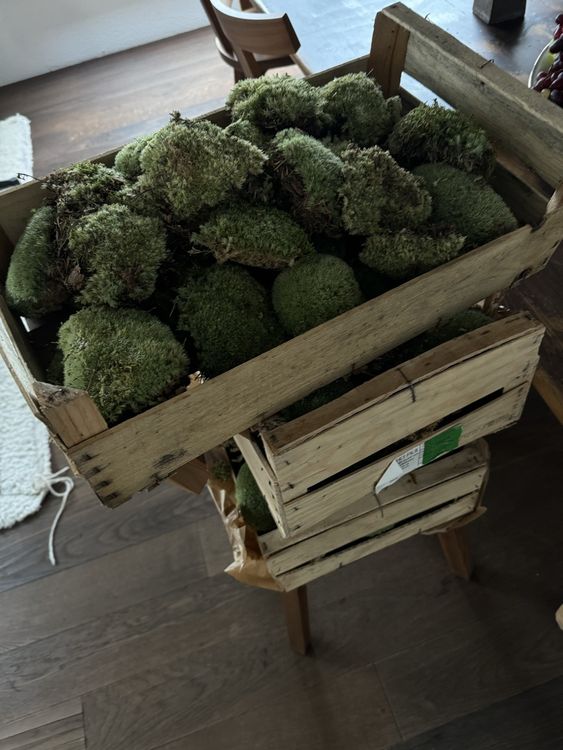 Moos Kaufen auf Ricardo