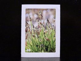 MIGROS MANIA Nature Detectives Nr. 49