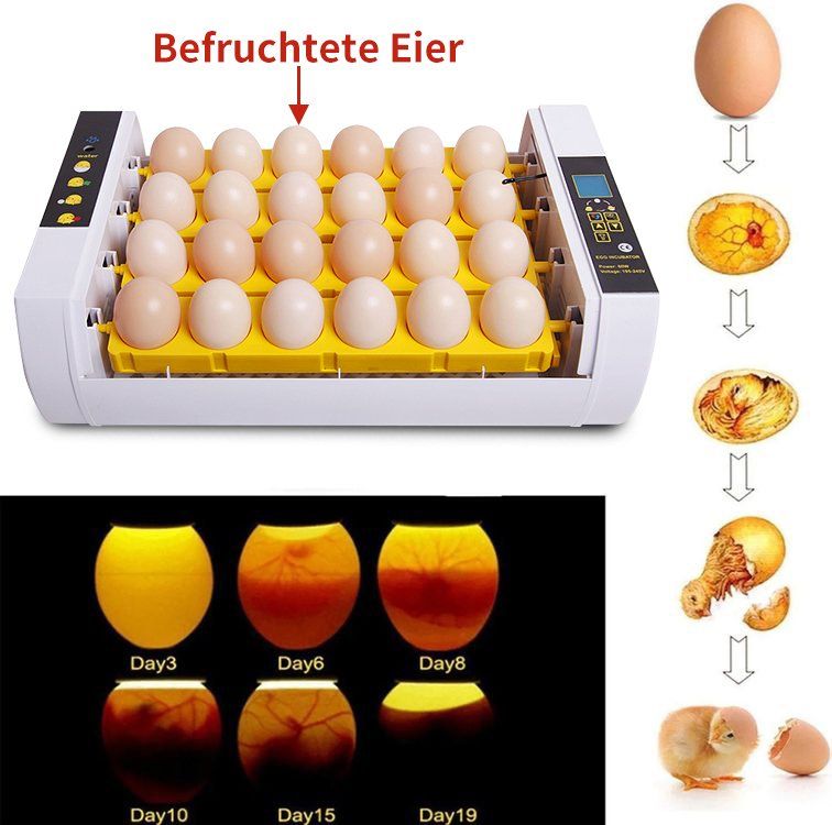 Altro in Accessori per animali: Hühner Inkubator 24 Eier Brutmaschine – Nuovo (secondo la descrizione) da Thun venduto da Laoye 4
