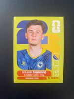 Panini FIFA World Cup Sticker BIH 9
