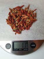 Piri Piri Chili extrascharf - getrocknet - Bio Eigenanbau