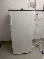 Liebherr Gefrierschrank (GNP 2476-20K) KAPUTT