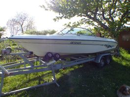 Bateau à moteur Sea Ray 195 BR