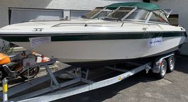 Sea Ray zu verkaufen