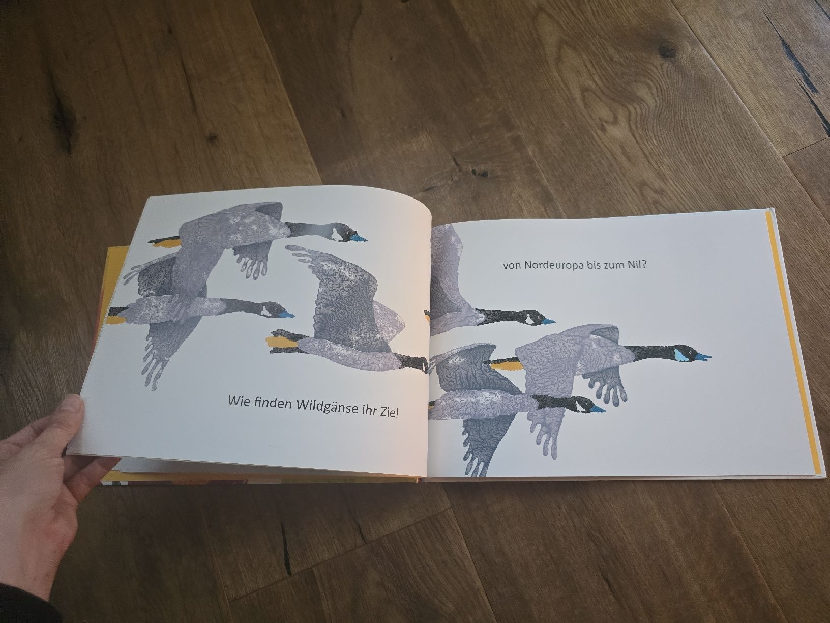 Bücher: Kinderbuch "Was macht die Farben bunt?" Marcus Pfister – Gebraucht aus Wittenbach von Tigerlili 7