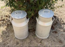 Milchkanne Milchkannen Duo