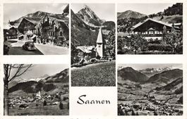 Saanen