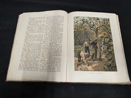 Antikes Kinderbuch "Kinderlust" von 1897, Top Zustand!